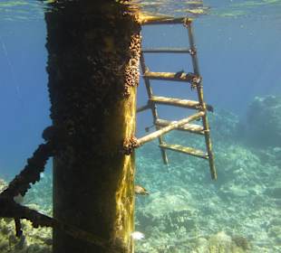 Einstig ins Außenriff