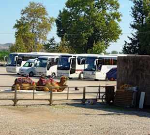 Aspendos An/Abfahrt Landschaft