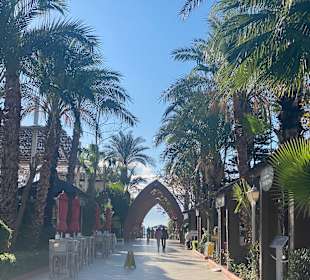 Auf dem Weg zum Hoteleigenen Strand