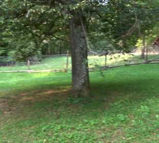 Altwege Rundwanderung Bebenhausen