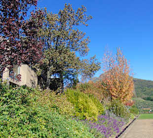 Weingut Tokara in Stellenbosch