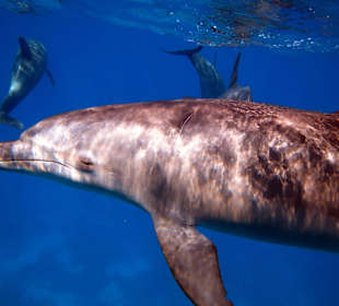 Bilder vom 13.10.16 von mir geschossen