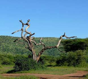 Grandiose Landschaft 