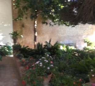 Museum Frédéric Chopin und George Sand