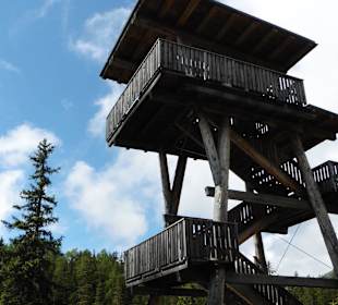 Aussichtsturm mit Infotafeln zum Moor