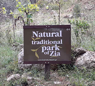 Natural Traditional Park