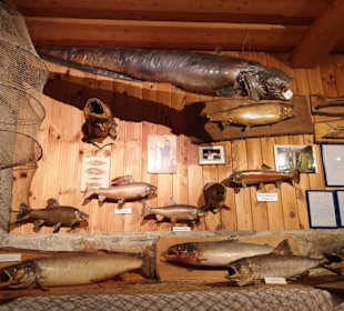 Fischmuseum