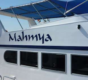 Ausflug zur Trauminsel Mahmya