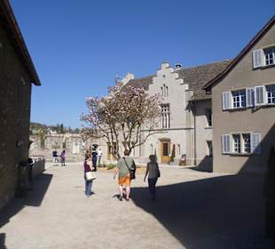 Schloss Laufen am Rheinfall