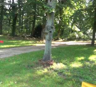 Schlosspark