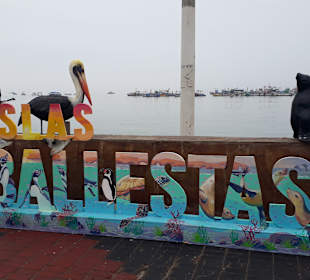 StaStadtrundgang Paracasdtrundgang Paracas