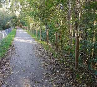 Gut ausgebauter Rundkurs