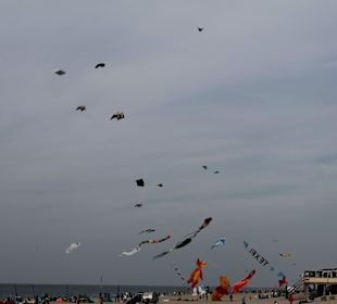 Strand De Koog Drachenfestival Oktober 2014