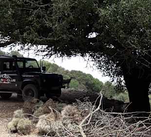 Crete Jeep Safari Adventure