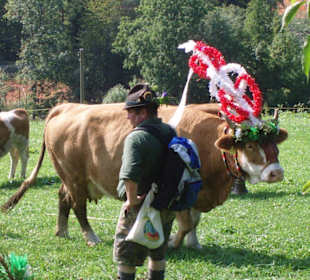Almabtrieb