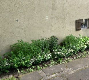 Heimatmuseum Beihingen