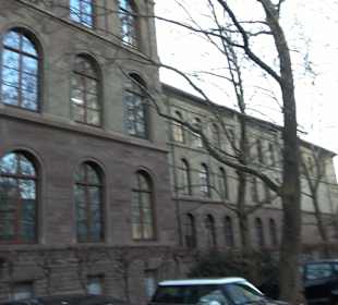 Stadtgarten Stuttgart