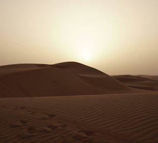 Sonnenaufgang in der Wüste