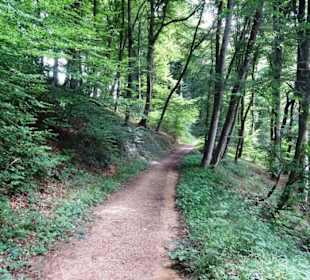 Wanderung durch die Kleine Luxemburger Schweiz