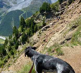 Wandern Prato allo Stelvio