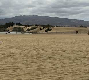Dünen von Maspalomas