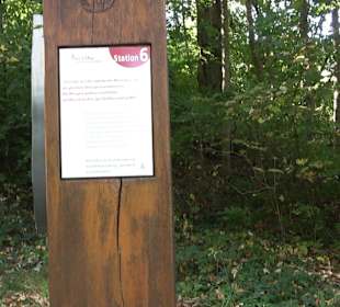 Bussen Schöpfungsweg Offingen