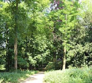 Schloss Dyck
