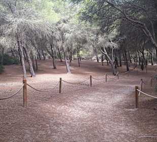 Wandern Can Picafort