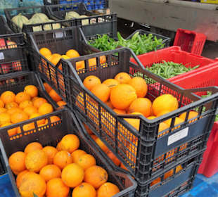 Eindrücke vom Wochenmarkt Nuoro