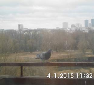 Warszawski Skyline z praskiej strony.