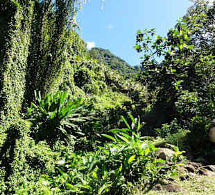 Blick vom Garten der Plantage
