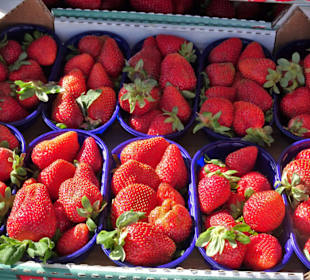 Rundgang über den Wochenmarkt Nuoro