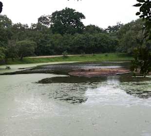 Großer Teich vor dem liegenden Buddha
