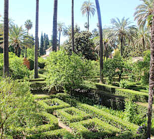 Алькасар в Севильи_8