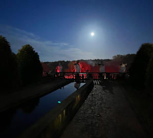 Modno Verde Halloween