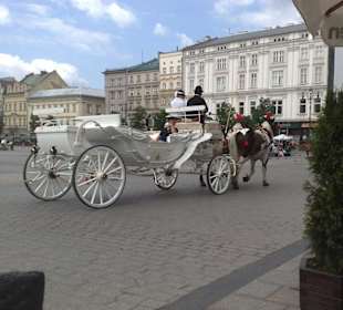 Kutsche Marktplatz Krakau