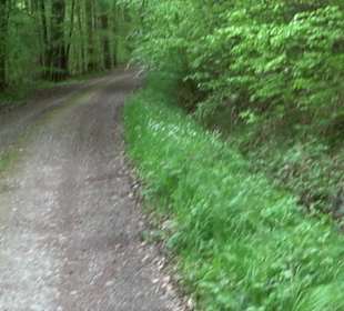 Wandertour Feuchtgebiet Schönbuch