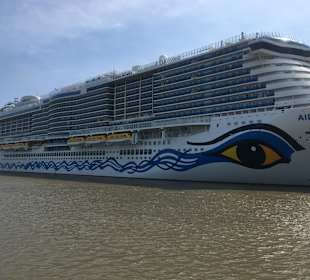 Meyer Werft