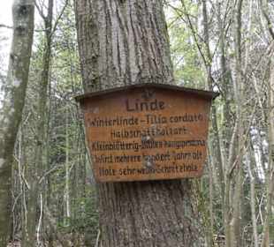 Vitus Mayer Waldlehrpfad