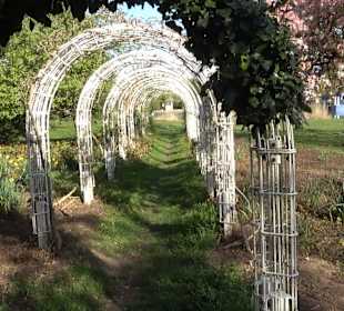 Horbachpark Ettlingen