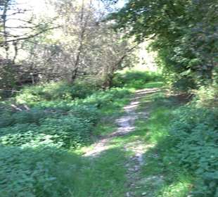 Baumlehrpfad Zollertal
