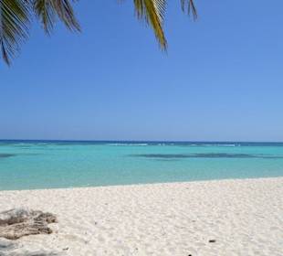 Saona Strand 
