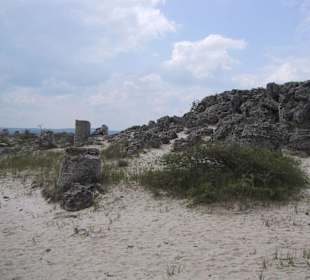 Steinwald