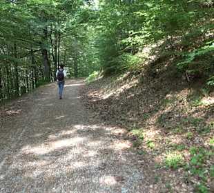 Waldlehrpfad in Tieringen