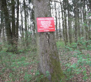 Kletterwald Laichingen