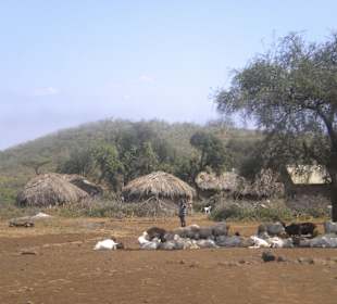 Massai-Dorf