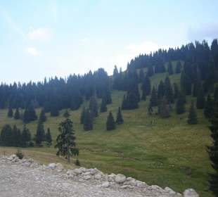 Parcul Natural Apuseni