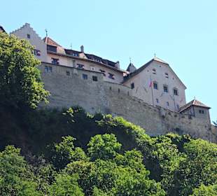 Widok na zamek