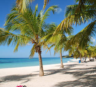 Karibik-Traum