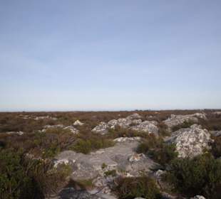 Alles flach auf dem Tafelberg